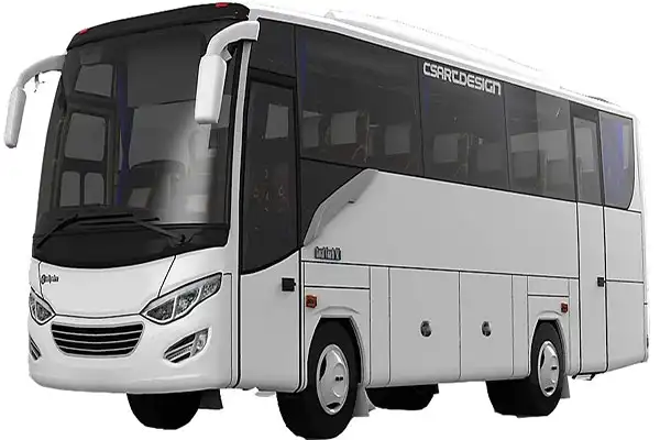 bus bus